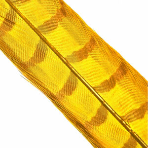 Hends Ocasní Pero z Bažanta Pheasant Tail Golden Yellow