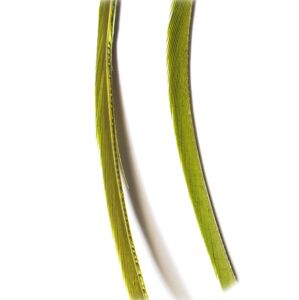 Veniard Husí Biots Goose Biot Strips Medium Olive