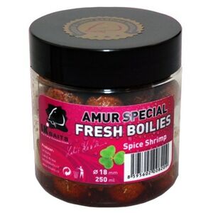 Fresh Boilies LK Baits Amur Special Spice Shrimp 18mm 250ml