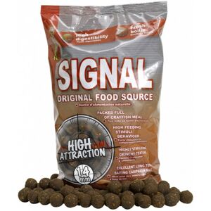 Boilies Starbaits Concept Signal 1kg 14mm