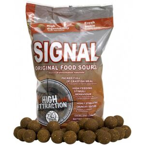 Boilies Starbaits Concept Signal 1kg 24mm