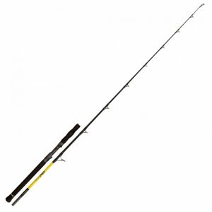 Black Cat Spin Stick 2,15 m 100-300 g 2 díly