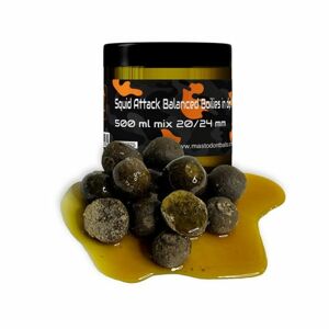 Mastodont Baits Boilies Balanced Boilies in dip mix 20/24mm 500ml - Squid Attack