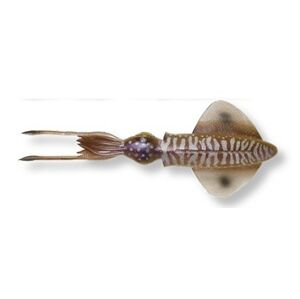 Gumová Nástraha Savage Gear 3D Swim Squid 25cm 86gr Cuttlefish