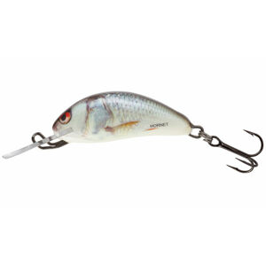 Salmo Wobler Hornet Sinking 2,5cm Barva: Real Dace